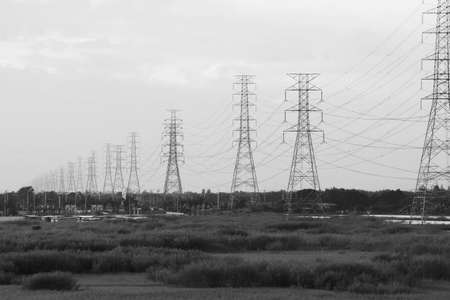 Power lines disappearing into the horizon. Black and white photo.の写真素材