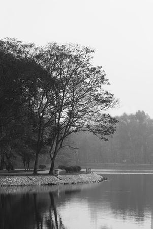 Silhouette of big trees by the water. Black and white photo. Photo taken at lake Ho Bay Mau in the...