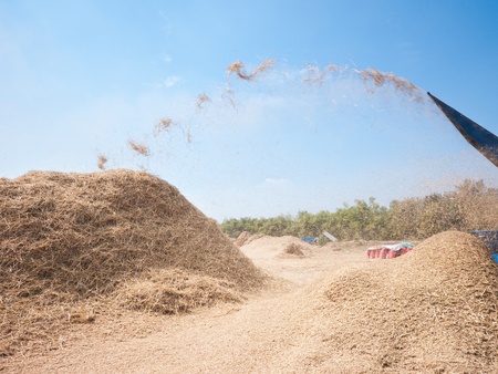 Threshing of rice in Sisophon, Banteay Meanchey Province, Cambodia, using a mechanical thresher with hay flying through the air.の写真素材