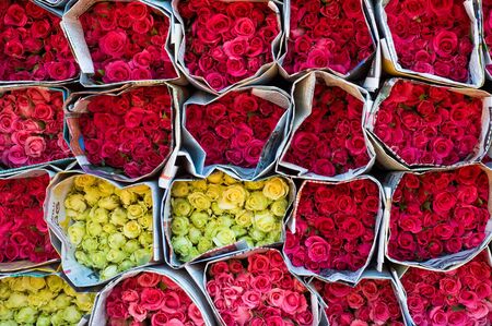 Roses in assorted colours wrapped in newspapers. The language of the newspapers is Thai.
