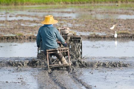 Thai farmer preparing the rice paddy field for planding. Shallow depth of field with the farmer in focus.の写真素材