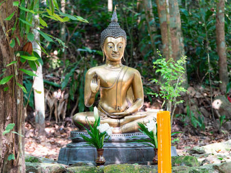 Buddha image in the forest at Wat Suan Mokkh in the Surat Thani province of Thailand. Wat Suan Mokkh was established in 1932 by Buddhadasa Bhikkhu, a Buddhist monk, as a temple and meditation centre at a forest in Surat Thani in the south of Thailand.の写真素材