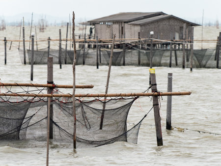 Fish farm at Songkhla Lake in Songkhla, south of Thailand on a rainy day. Shallow depth of field with the nets in the foreground in focus. Fisherman's shack in the background.の写真素材
