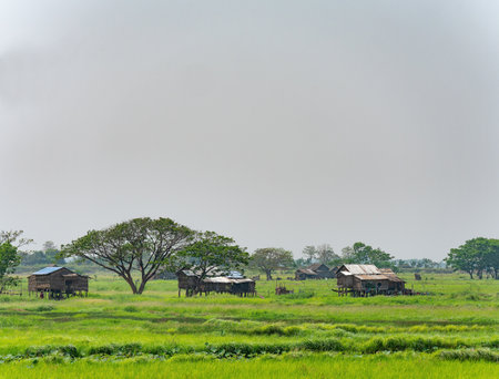 Landscape with homes built from wood and straw at the Irrawaddy Delta wetlands in southern Myanmar.の写真素材