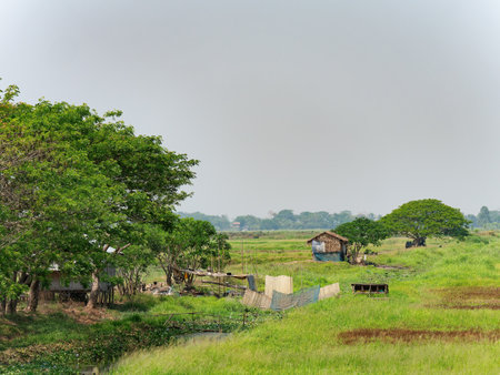 Landscape with homes built from wood and straw at the Irrawaddy Delta wetlands in southern Myanmar.の写真素材
