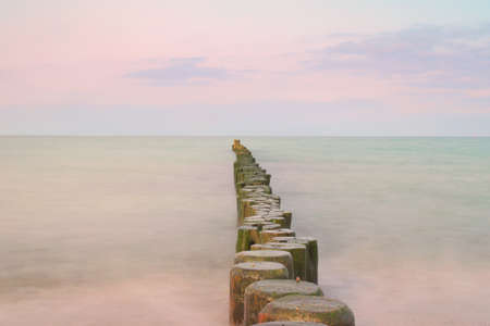 Wooden groynes at the beach of baltic seaの写真素材