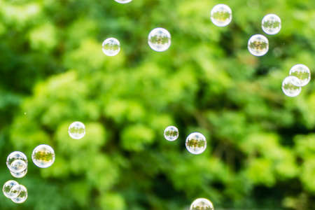 Abstract background. Soap bubbles on the blur nature.の写真素材