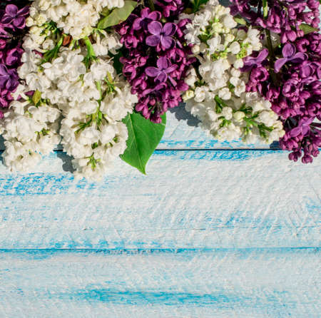 flowers on wooden background. top view copy space.の写真素材