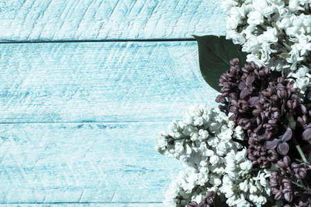 flowers on wooden background. top view copy space.の写真素材