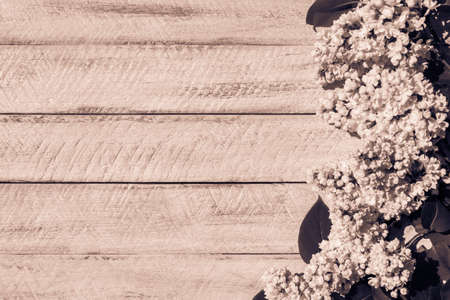 flowers on wooden background. top view copy space.の写真素材