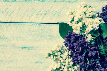 flowers on wooden background. top view copy space.の写真素材