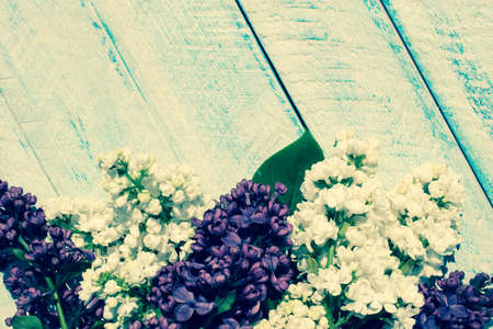 flowers on wooden background. top view copy space.の写真素材