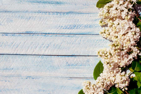 flowers on wooden background. top view copy space.の写真素材