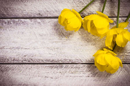 flowers on wooden table with copy space. celebration template concept.の写真素材