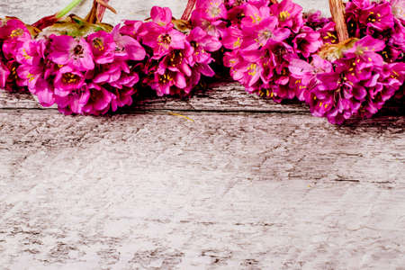 flowers on wooden background with copy space. celebration template concept.