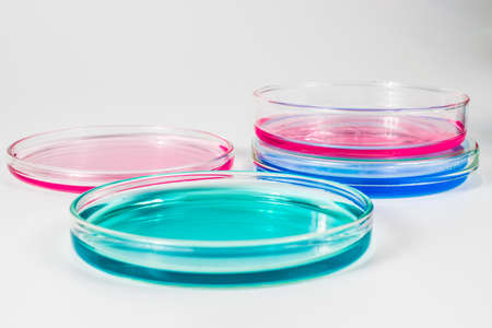 color liquid in petri dishes. laboratory, science and clinic backgroundの写真素材