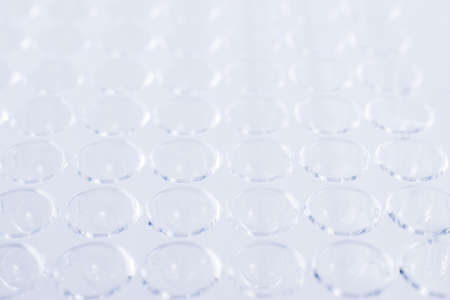 96 well plate. laboratory microplate. Research science and medical background.の写真素材
