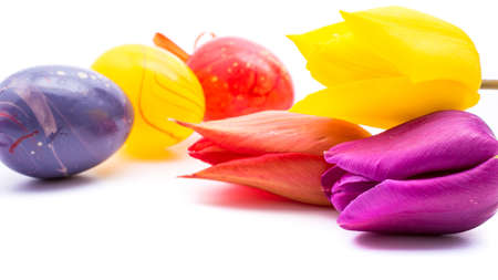 close-up of colorful easter eggs and tulip flowers on white background with copy space. border...