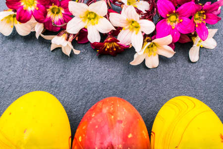 close-up of colorful easter eggs and saxifraga bryoides or mossy saxifrage flowers on stone...