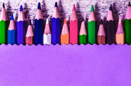 back to school. color pencils and colored paper with copy space.の写真素材