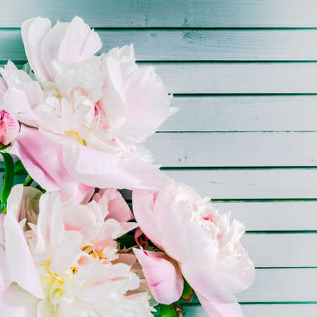 peonies flowers close-up macro on wooden background. Spring summer border template. floral background. greeting and celebration card.の写真素材
