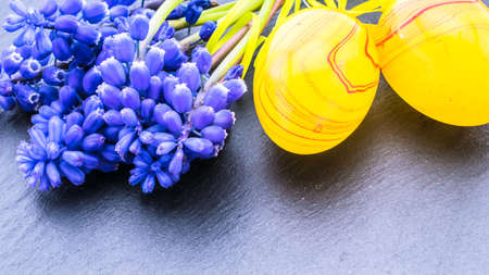 colorful easter eggs and hyacinthus spring flowers on stone background with copy space. border template, easter greeting and holiday card.の写真素材