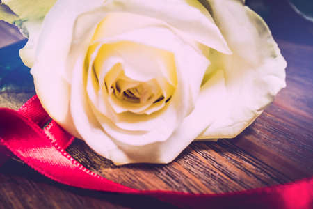 white rose flower with reed bow on vintage wooden table with dark background. Greeting card for Birthday, Woman or Mothers Day. romantic template border with copy space. grief and mourning conceptの写真素材