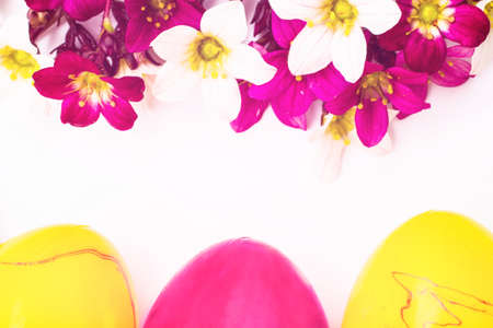 close-up of colorful easter eggs and saxifraga bryoides or mossy saxifrage flowers on white...