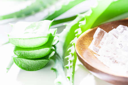 aloe vera gel and rock salt minerals on white background. organic skin care and natural cosmetic for sensitive skin. sliced aloe vera leaf. alternative medicine, spa and skin care concept.の写真素材