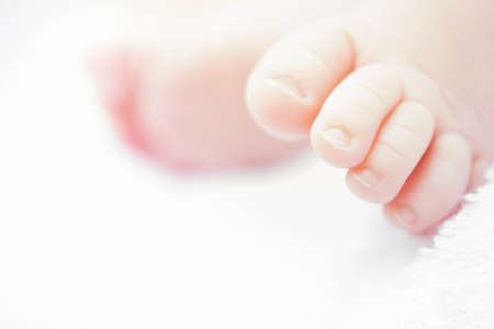 closeup of newborn baby feet. Template for baby book or baby photo albumの写真素材