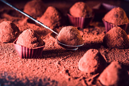 Chocolate truffles, macro. delicious homemade truffle with dark chocolate and cocoa powder.
