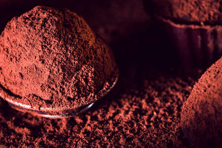 Chocolate truffles, macro. delicious homemade truffle with dark chocolate and cocoa powder.の写真素材