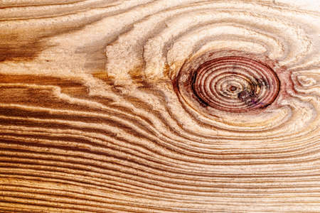 vintage wood background. Rustic wooden texture detail. wood design and template for display of...