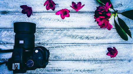 camera on wooden background or table and spring blossoms and flowers.の写真素材