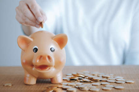 Female hand putting euro coin into a piggy bank. Investment and savings concept.の写真素材