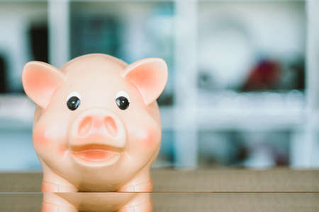 piggy bank. saving and investing conceptの写真素材