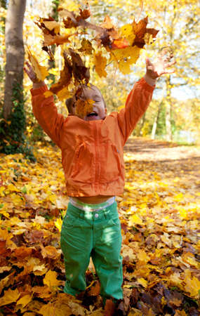 Adorable toddler boy throwing maple leaves at sunny autumn day