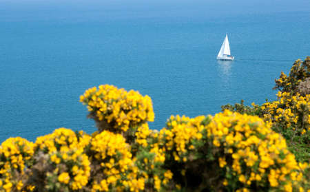 Beautiful sea landscape with white yacht and flowers