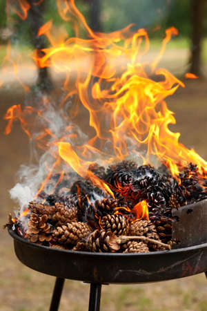 Burning pine cones. Preparing embers for grillingの写真素材