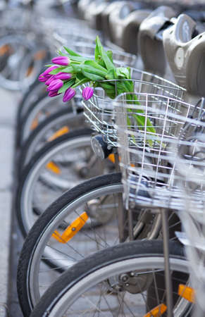 Spring is coming! Bunch of tulips in basket of Parisian public bike for rent
