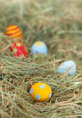 Painted colorful Easter eggs in hayの写真素材