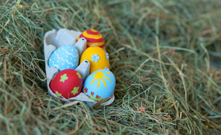 Painted colorful Easter eggs in a boxの写真素材