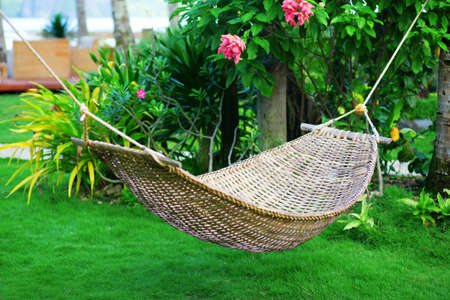 Hammock in a beautiful tropical gardenの写真素材