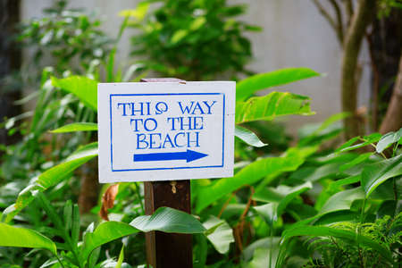 This way to the beachの写真素材