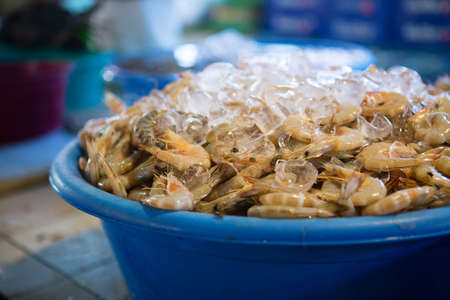 Fresh prawn on a fish marketの写真素材