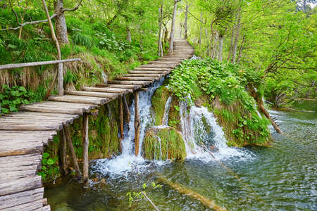 Cascades near the tourist path in Plitvice lakes national parkの写真素材