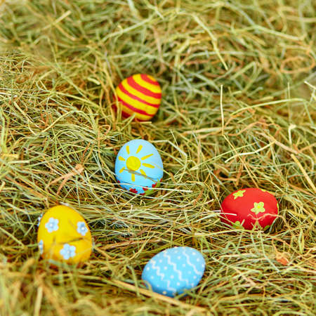 Painted colorful Easter eggs in dry grass