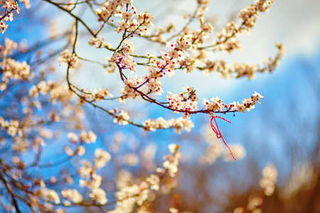 Martisors, symbols of the beginning of springの写真素材