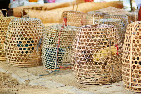 Caged roosters on a Balinese street marketの写真素材