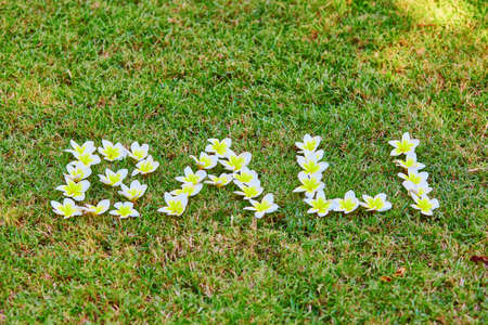 Word Bali written with frangipani flowers on the grassの写真素材